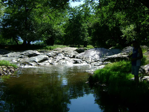 varset-bulgaria4.jpg