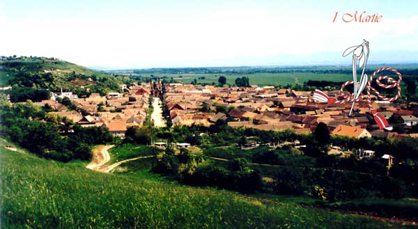 costei1.jpg
