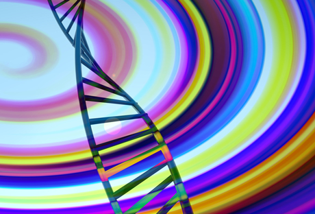 ADN-uman-web.jpg