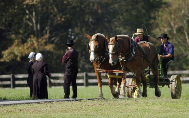 amish.jpg