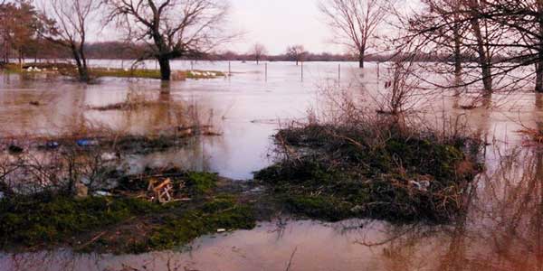 poplave,-poplava,-reke,reka,-karas,njive,-vojvodinci,_660x330.jpg