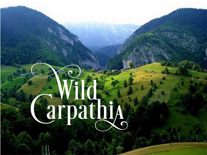 wild-carpathia-800.jpg