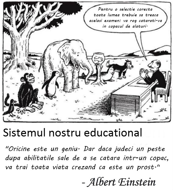 sistemul-educational.jpg