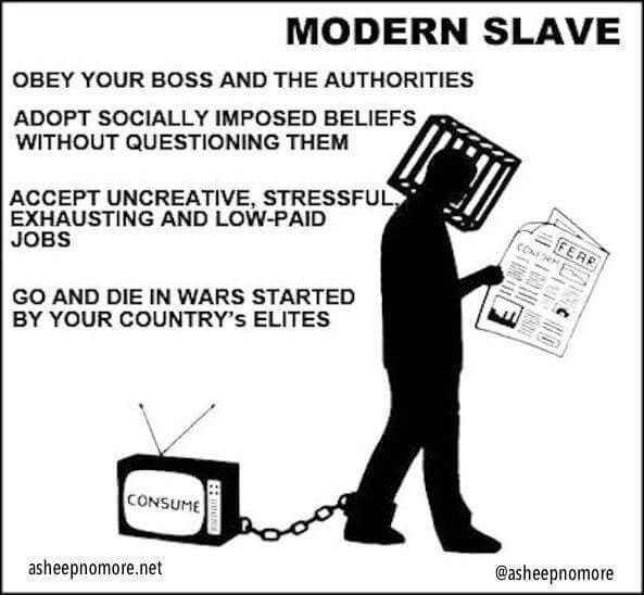 Sclav-Modern.jpg