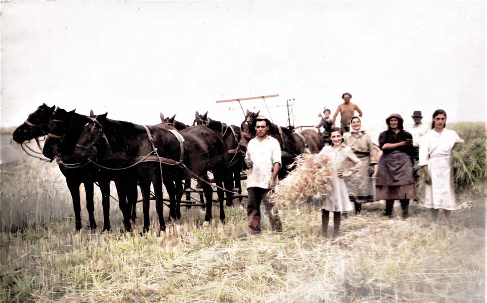 19-la-cosat-1958-stdr.-Acim-Pod,-Nuti-Pod,-Liena-Mandres.jpg