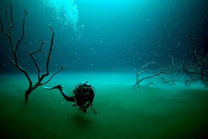 Un scafandru în Cenote Angelina. Foto Pinterest.jpg